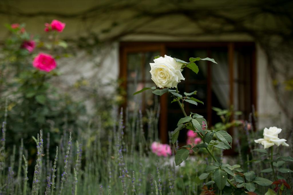 Grace Guest House Johannesburg Exterior photo